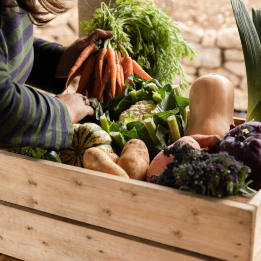 Seasonal vegetable box filled with local cornish produce