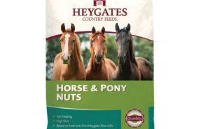 heygates horse and pony nuts