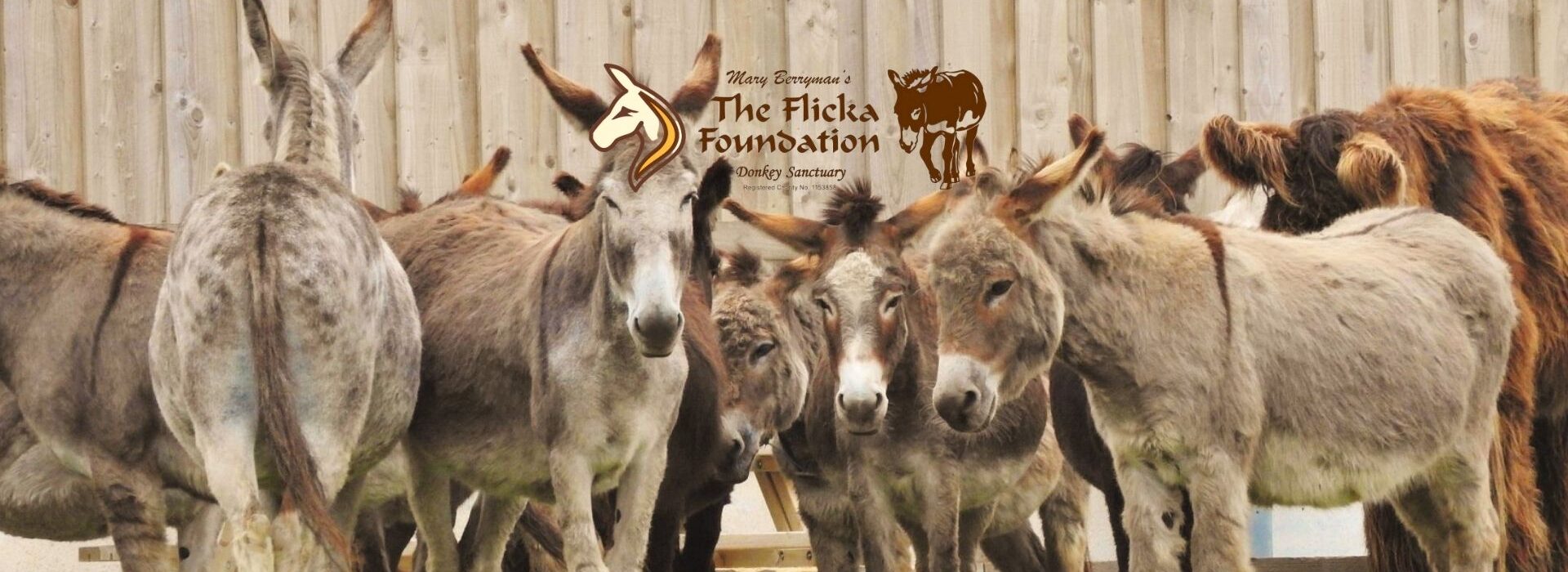 https://baileyscountrystore.co.uk/wp-content/uploads/2021/02/Copy-of-flicka-foundation-banner-2-1.jpg