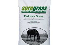 suregrow paddock grass seed mix sold at baileys country store.
