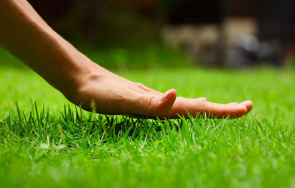 Grass spring discount