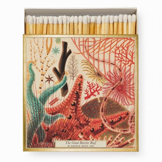 Great Barrier Reef Luxury Matches