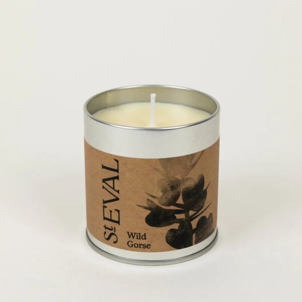 St Eval Wild Gorse Scented Tin Candle - Image 2