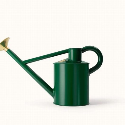 Haws Bearwood Brook 1 Gallon Steel Watering Can