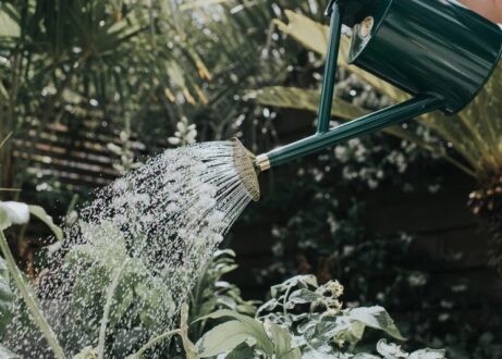 Watering Cans