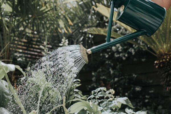 Haws Bearwood Brook 1 Gallon Steel Watering Can - Image 4