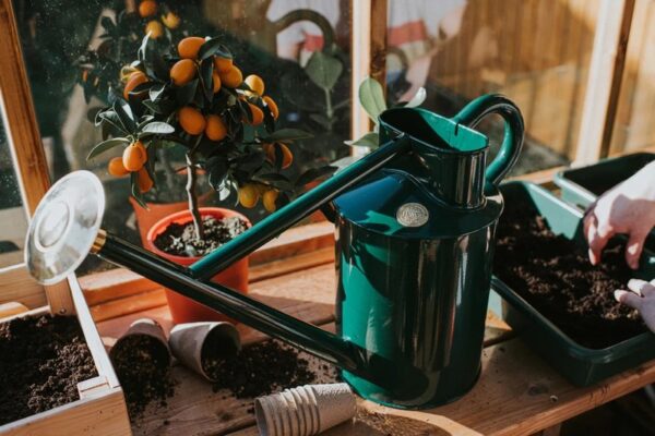Haws Bearwood Brook 1 Gallon Steel Watering Can - Image 2