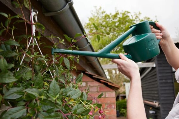 Haws Sutton Splash 4 Pint Plastic Watering Can - Image 2