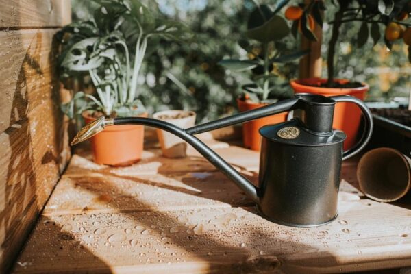 Haws Rowley Ripple 2 Pint Steel Watering Can - Image 4