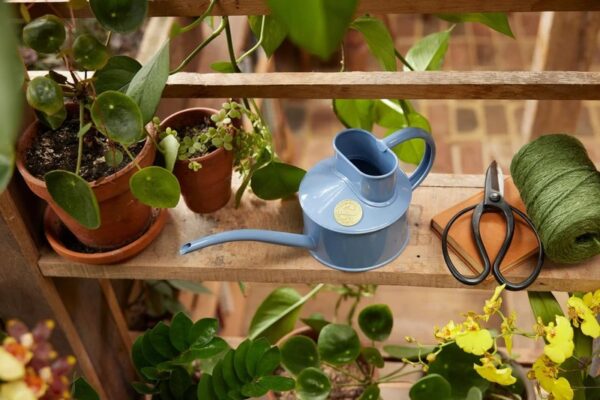 Haws Fazeley Flow 1 Pint Steel Watering Can - Image 4