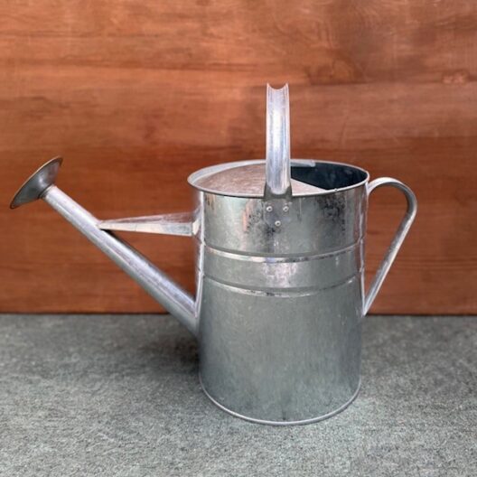 Galvanised 9 Litre Watering Can