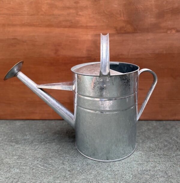 Galvanised 9 Litre Watering Can