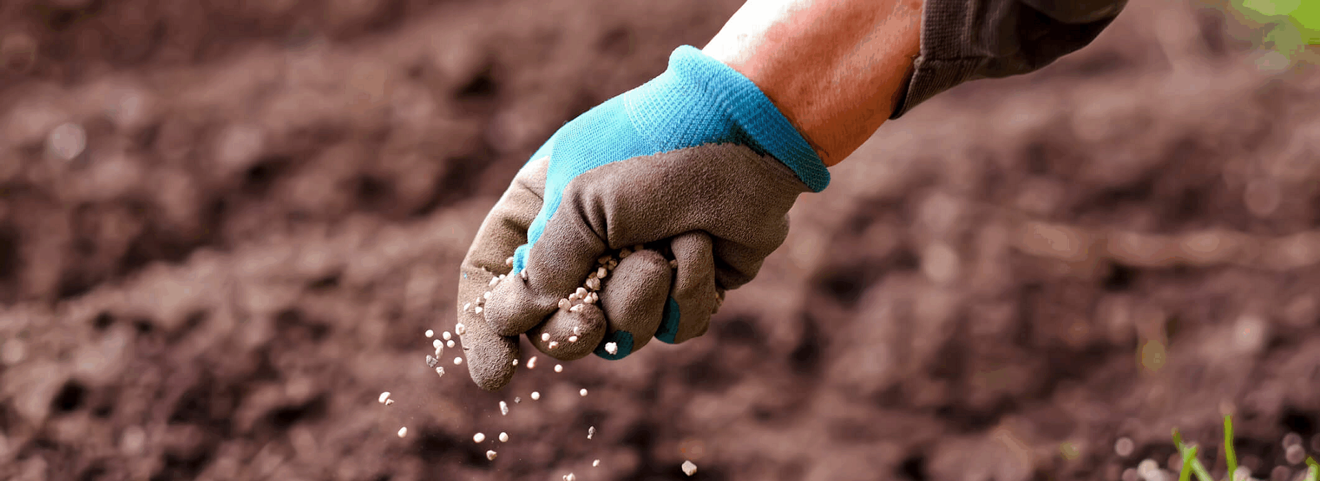 https://baileyscountrystore.co.uk/wp-content/uploads/2025/05/soil.png