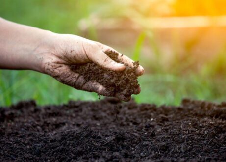 Compost & Soil Enrichers